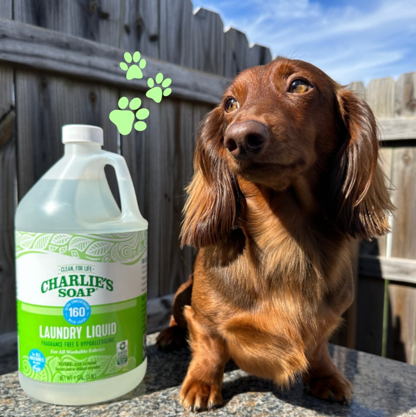Charlie's Soap + Puppy Photo